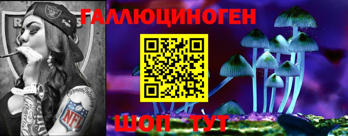 Ишимбай  Псилоцибиновые грибы Cubensis  Вход с VPN 